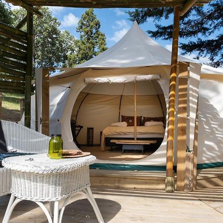 Hotel Kerikeri Glamping Zewnętrze zdjęcie