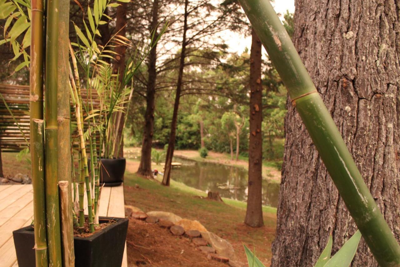 Hotel Kerikeri Glamping Zewnętrze zdjęcie