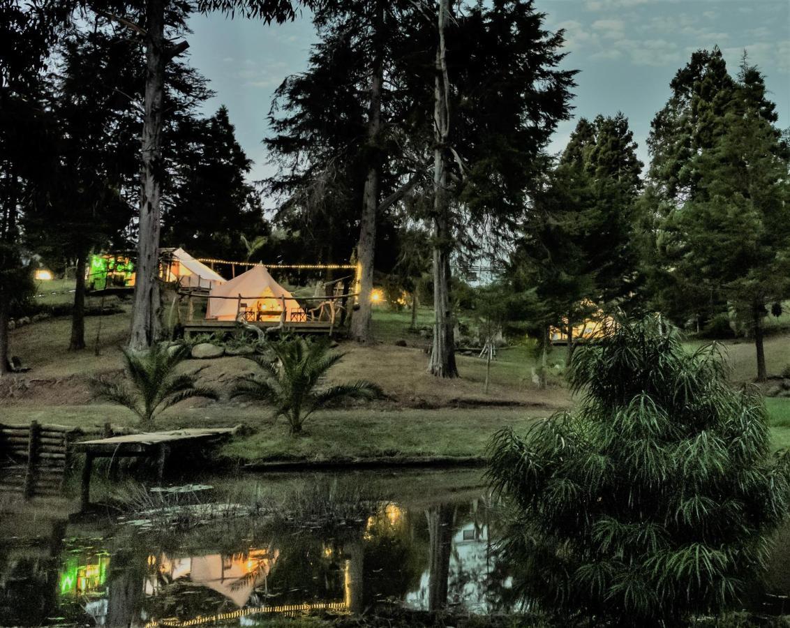 Hotel Kerikeri Glamping Zewnętrze zdjęcie