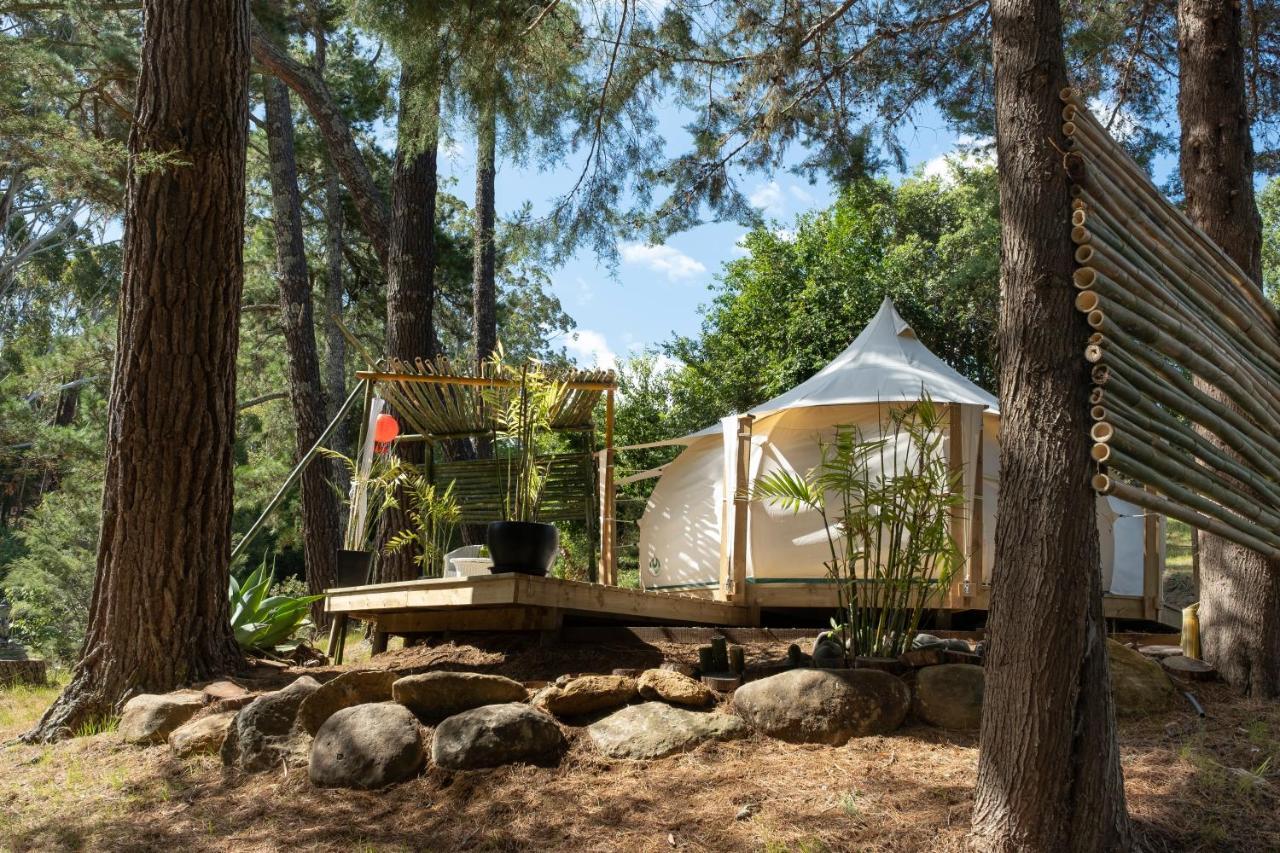 Hotel Kerikeri Glamping Zewnętrze zdjęcie