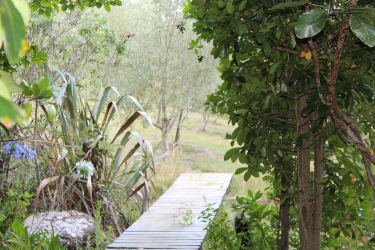 Hotel Kerikeri Glamping Zewnętrze zdjęcie