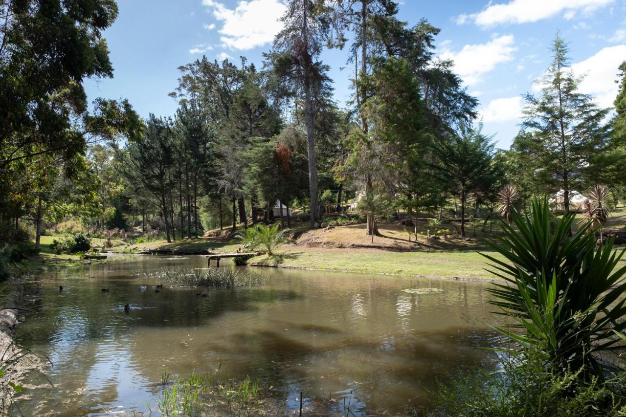Hotel Kerikeri Glamping Zewnętrze zdjęcie