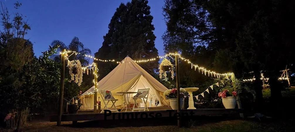 Hotel Kerikeri Glamping Zewnętrze zdjęcie