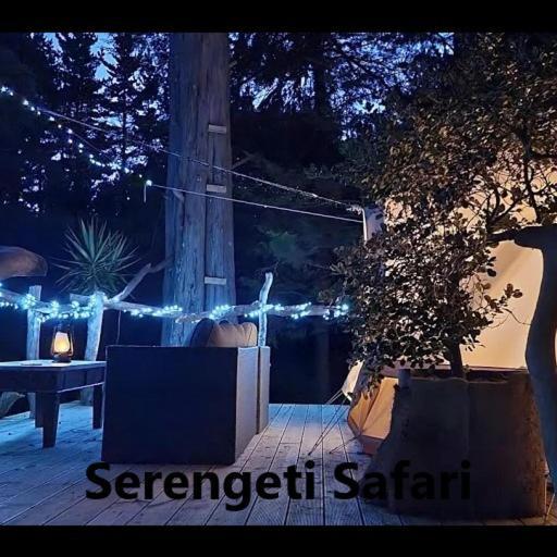 Hotel Kerikeri Glamping Zewnętrze zdjęcie